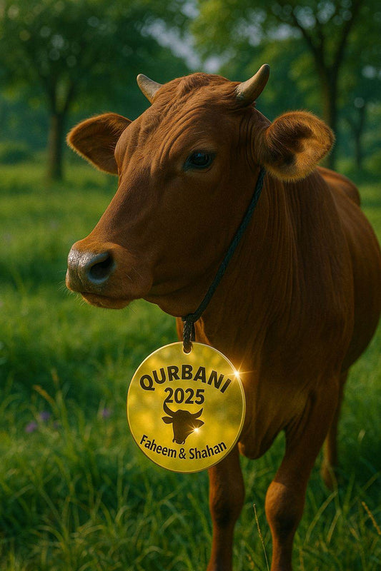 Customize Acrylic Cow Tags | GG012 - GloriousGifts.Pk | Pakistan's 1 Office & Home Decoration Brand