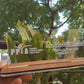 Custom Acrylic Desk Plate with Wood Base | GT003
