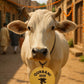 Customize Acrylic Cow Tags | GG012