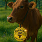 Customize Acrylic Cow Tags | GG012