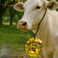 Customize Acrylic Cow Tags | GG012