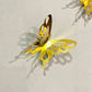 3D Acrylic Wall Butterflies  Decorative Stickers |GW015